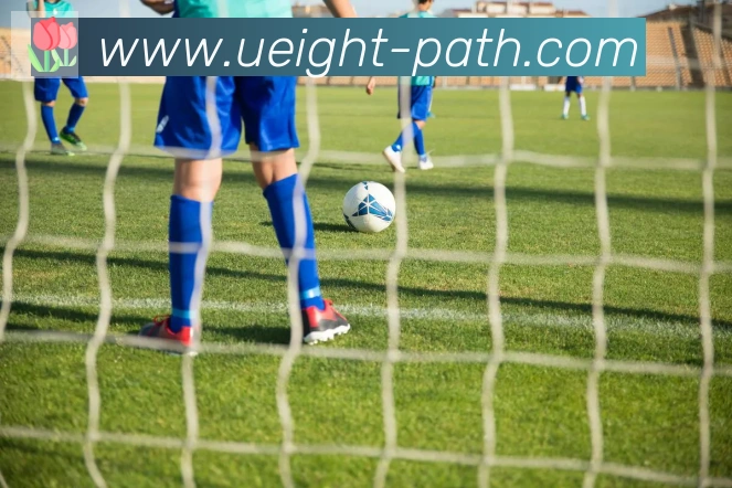 U8国际服务体系