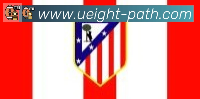 U8国际合作伙伴