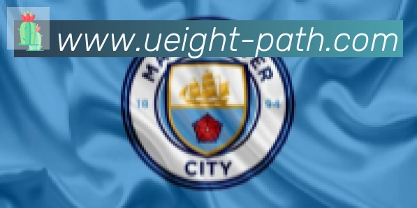 U8国际合作伙伴