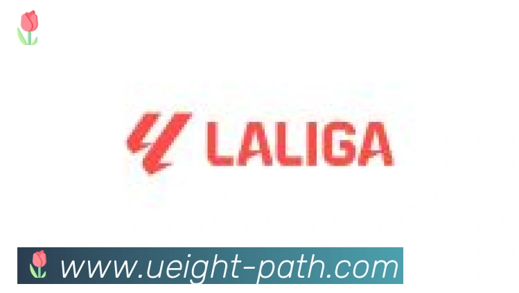 U8国际合作伙伴