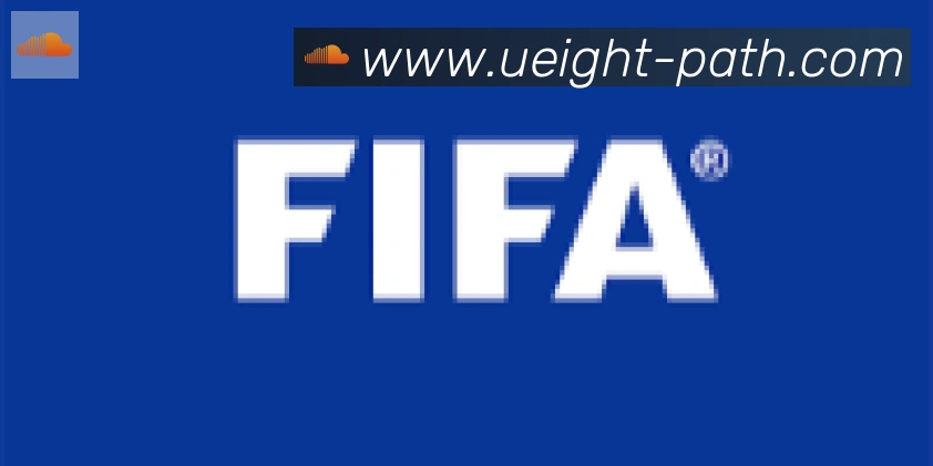 U8国际合作伙伴